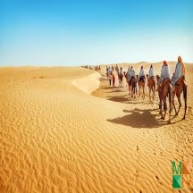 Tranh dán tường Hàn Quốc 3d khổ lớn ở Hà Nội NA - 433